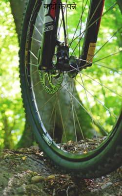 यादों के पन्ने