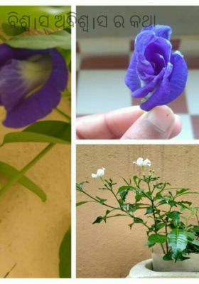 ବିଶ୍ୱ।ସ ଅବିଶ୍ୱ।ସ ର କଥା