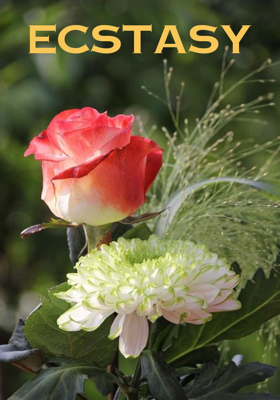 ECSTASY