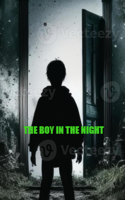 The Boy In The Night