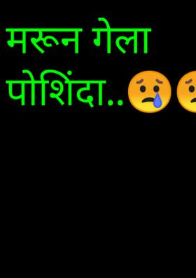 मरून गेला पोशिंदा..😢😢😢😢😢