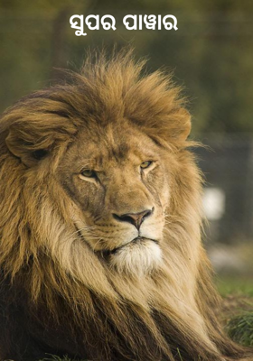 ସୁପର ପାୱାର