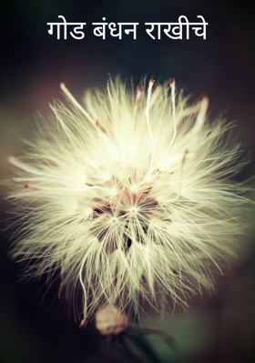 गोड बंधन राखीचे