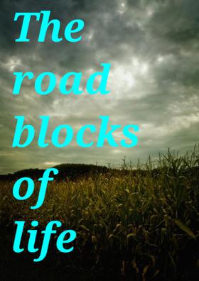The Roadblocks Of Life