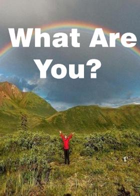 What Are You?