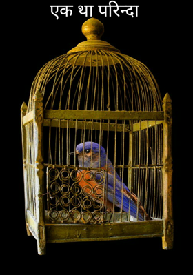 एक था परिंदा
