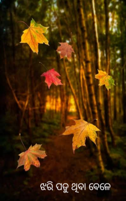 ଝରି ପଡୁ ଥିବା ବେଳେ