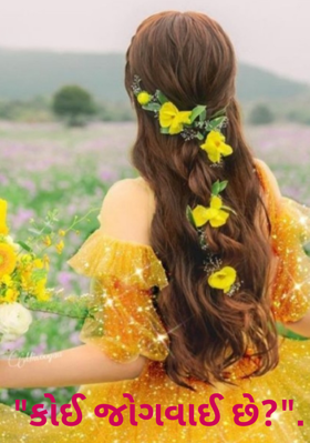 કોઈ જોગવાઈ છે ?