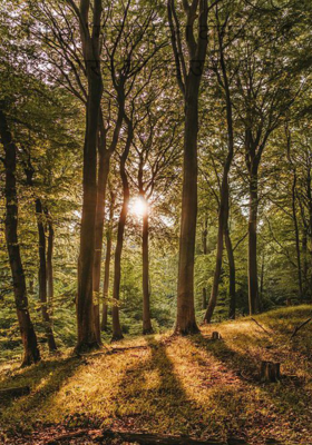 Title: “महंगाई का दानव और भारत की नई उम्मीद