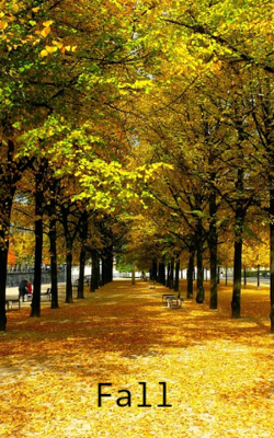 Fall