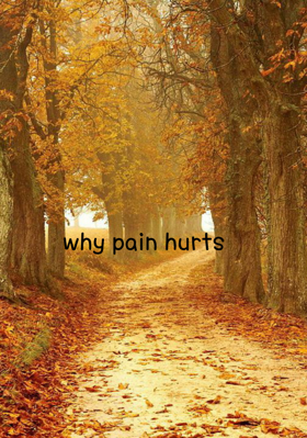 Why Pain Hurts