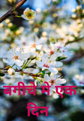 बगीचे मे एक दिन