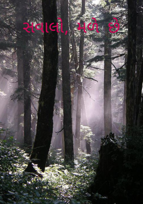 સવાલો, મળે છે