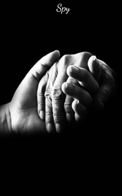 Spy