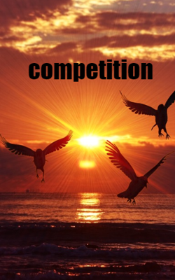 Competition