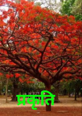 प्रकृति