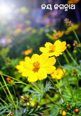 ଜୟ ଜଗନ୍ନାଥ