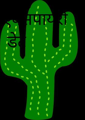 एक्सपायरी डेट