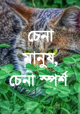 চেনা মানুষ, চেনা স্পর্শ