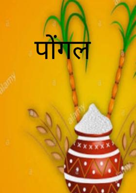 पोंगल