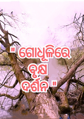 ଗୋଧୂଳିରେ ବୃକ୍ଷ ଦର୍ଶନ