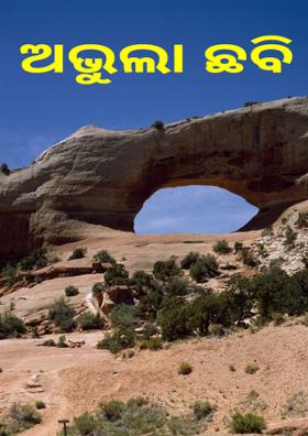 ଅଭୁଲା ଛବି