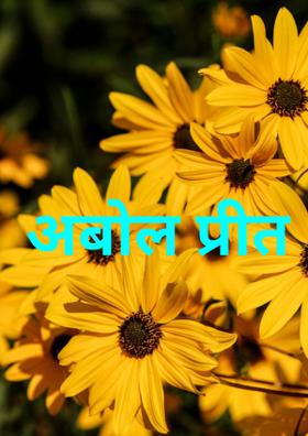 अबोल प्रीत