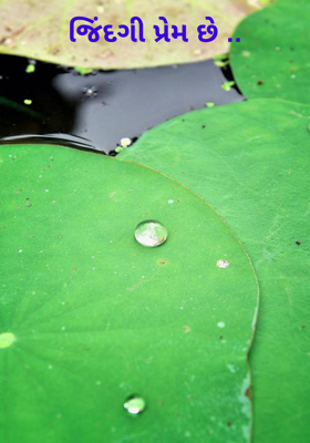 જિંદગી પ્રેમ છે