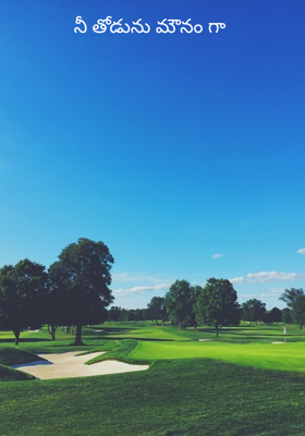 నీ తోడును మౌనం గా