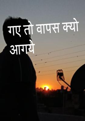 गए तो वापस क्यों आ गये