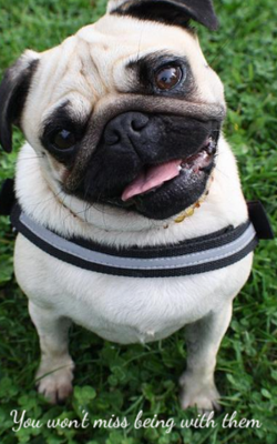 You won't miss being with them