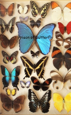 Prison Of Butterfly