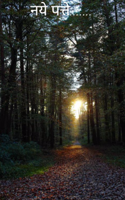 नये पत्ते.......