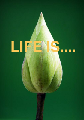 Life Is