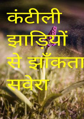 कंटीली झाड़ियों से झाँकता सवेरा