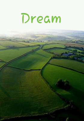 Dream