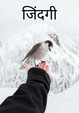 जिंदगी