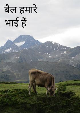 बैल हमारे भाई हैं