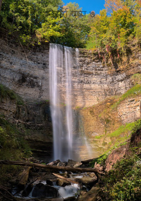 निसर्ग पुष्प - 7