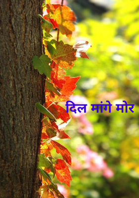 दिल मांगे मोर