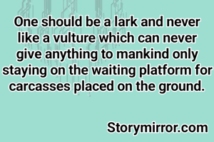 One should be a lark and never like a vulture which can never give anything to mankind only staying on the waiting platform for carcasses placed on the ground.