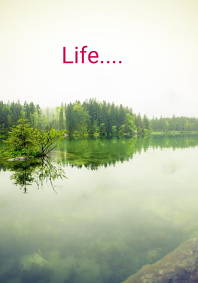 Life....