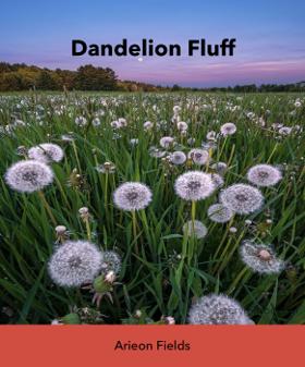 Dandelion Fluff