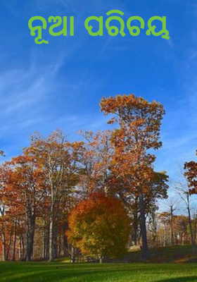 ନୂଆ ପରିଚୟ