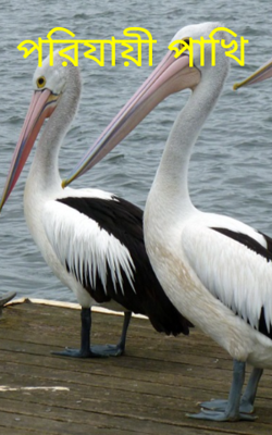 পরিযায়ী পাখি