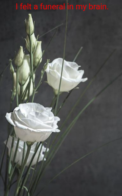 I felt a funeral in my brain.