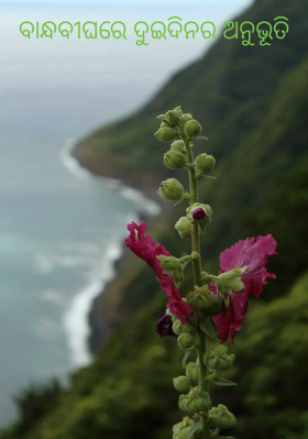 ବାନ୍ଧବୀଘରେ ଦୁଇଦିନର ଅନୁଭୂତି