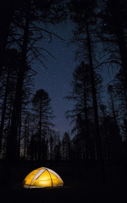 ঝোড়ো সন্ধ্যায়