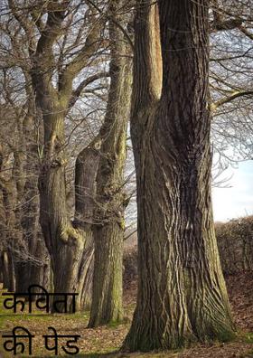 कविता का पेड़