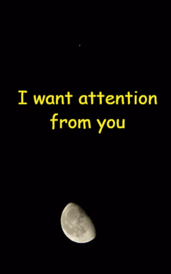 I want attention from you